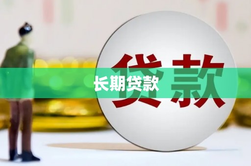 田林长期贷款