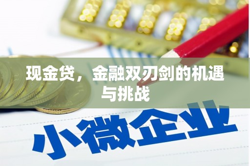 田林现金贷，金融双刃剑的机遇与挑战