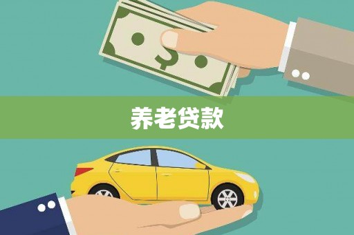田林养老贷款