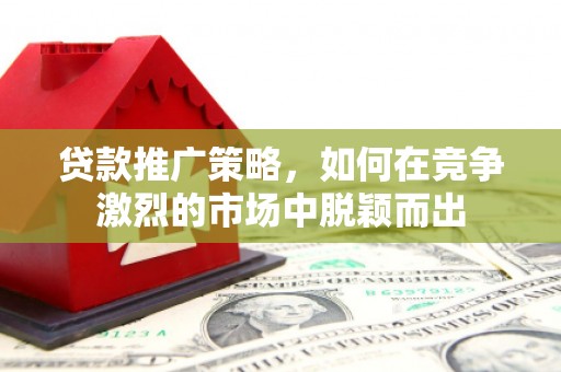田林贷款推广策略，如何在竞争激烈的市场中脱颖而出