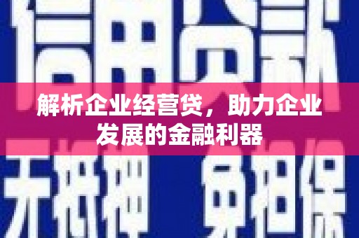 田林解析企业经营贷，助力企业发展的金融利器