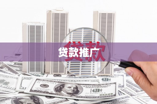 田林贷款推广