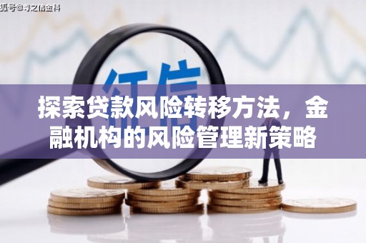 田林探索贷款风险转移方法，金融机构的风险管理新策略