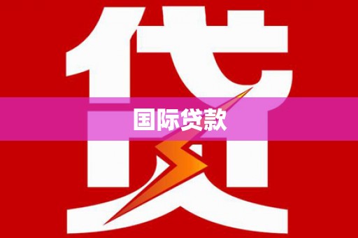 田林国际贷款