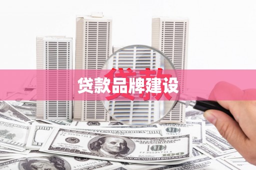 田林贷款品牌建设