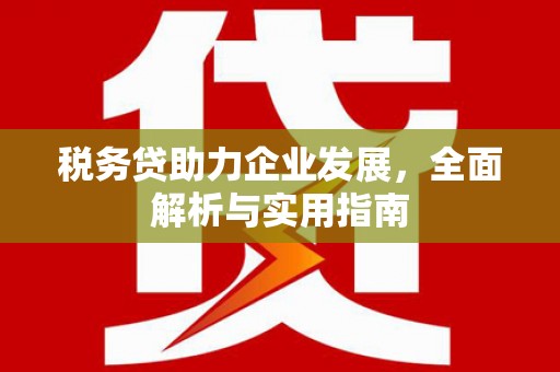 田林税务贷助力企业发展，全面解析与实用指南