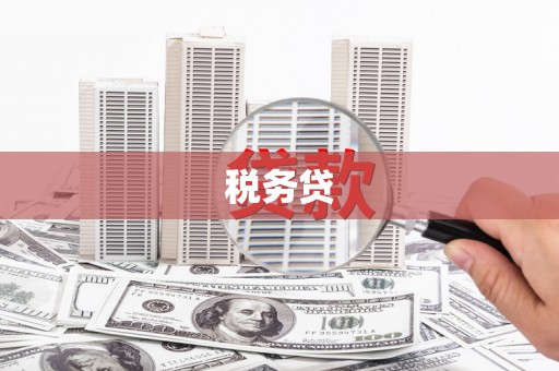 田林税务贷