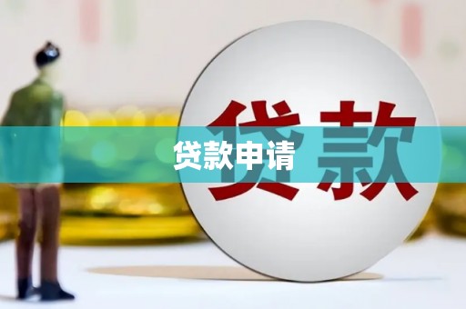 田林贷款申请