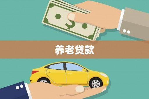 田林养老贷款