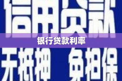 田林银行贷款利率