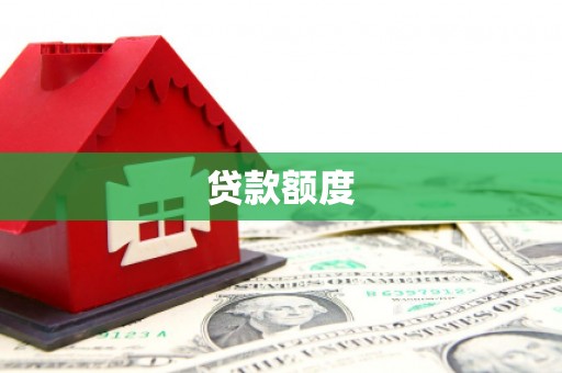 田林贷款额度