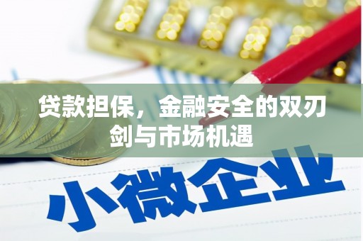 田林贷款担保，金融安全的双刃剑与市场机遇