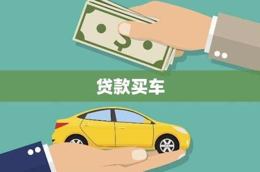 田林贷款买车