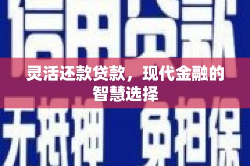 田林灵活还款贷款，现代金融的智慧选择
