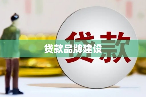 田林贷款品牌建设