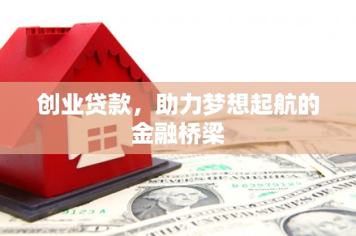 田林创业贷款，助力梦想起航的金融桥梁