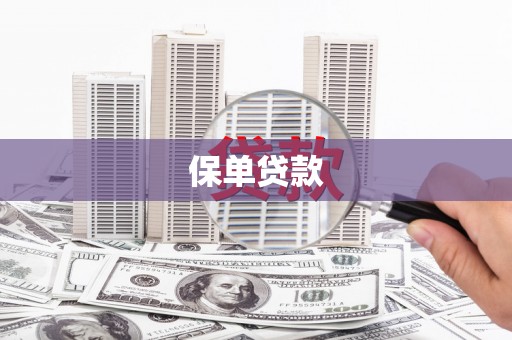 田林保单贷款