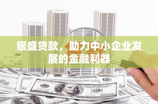 田林银盛贷款，助力中小企业发展的金融利器