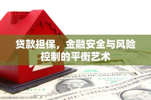 田林贷款担保，金融安全与风险控制的平衡艺术