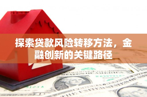 田林探索贷款风险转移方法，金融创新的关键路径