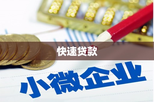 田林快速贷款