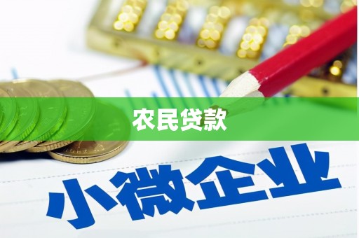 田林农民贷款