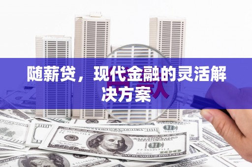 田林随薪贷，现代金融的灵活解决方案