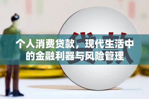 田林个人消费贷款，现代生活中的金融利器与风险管理