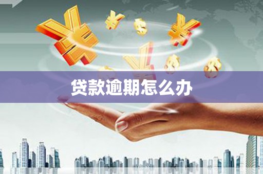 田林贷款逾期怎么办