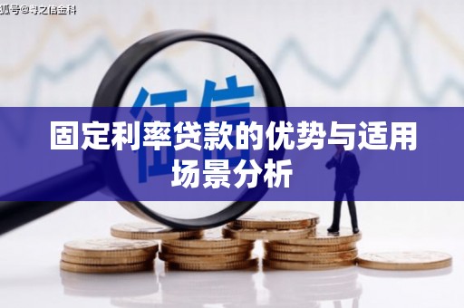 田林固定利率贷款的优势与适用场景分析