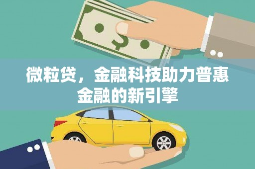田林微粒贷，金融科技助力普惠金融的新引擎