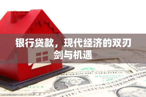 田林银行贷款，现代经济的双刃剑与机遇