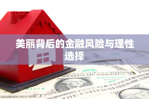 田林美丽背后的金融风险与理性选择