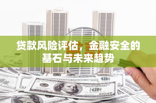 田林贷款风险评估，金融安全的基石与未来趋势