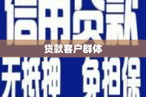 田林贷款客户群体