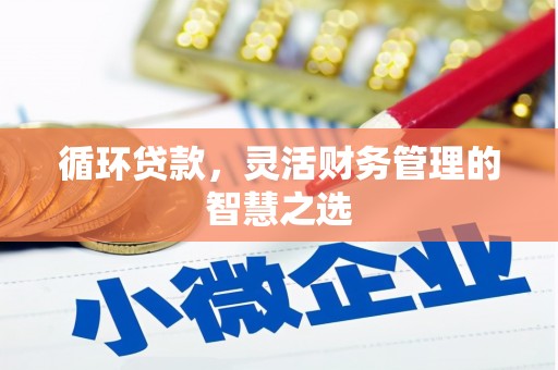 田林循环贷款，灵活财务管理的智慧之选