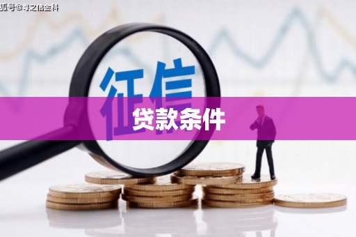 田林贷款条件