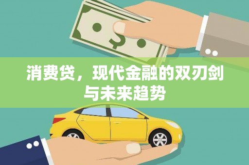 田林消费贷，现代金融的双刃剑与未来趋势