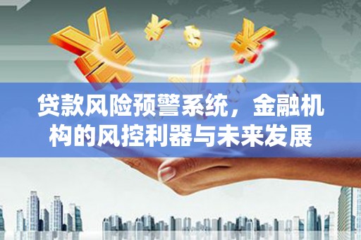 田林贷款风险预警系统，金融机构的风控利器与未来发展