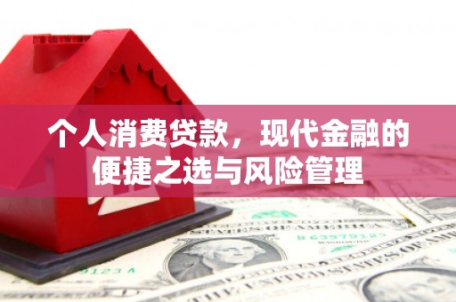 田林个人消费贷款，现代金融的便捷之选与风险管理
