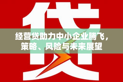 田林经营贷助力中小企业腾飞，策略、风险与未来展望