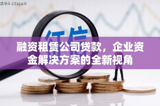 田林融资租赁公司贷款，企业资金解决方案的全新视角