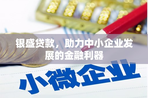 田林银盛贷款，助力中小企业发展的金融利器
