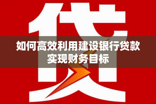 田林如何高效利用建设银行贷款实现财务目标