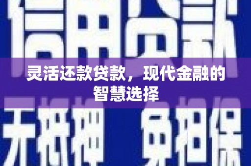 田林灵活还款贷款，现代金融的智慧选择