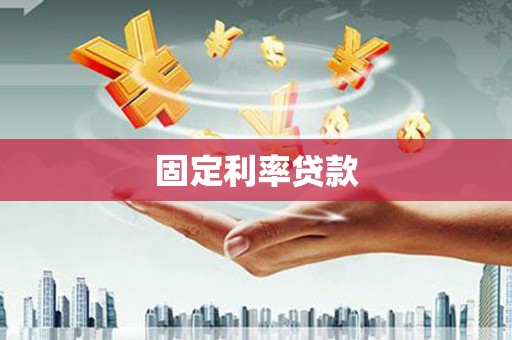 田林固定利率贷款