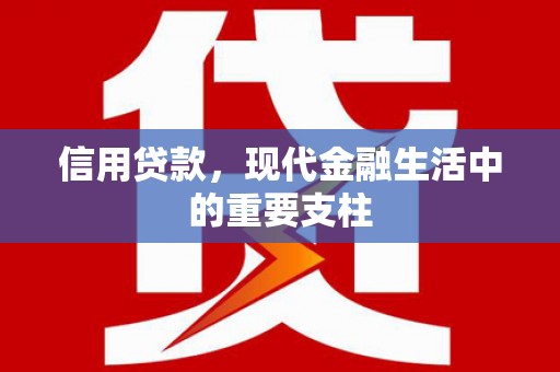 田林信用贷款，现代金融生活中的重要支柱