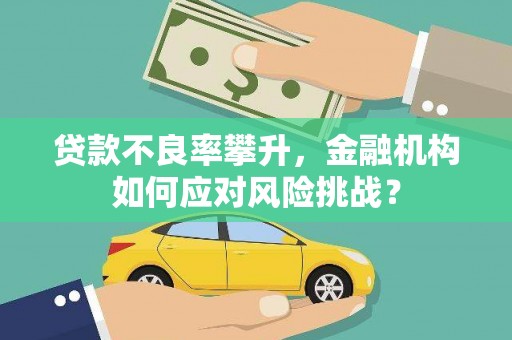 田林贷款不良率攀升，金融机构如何应对风险挑战？