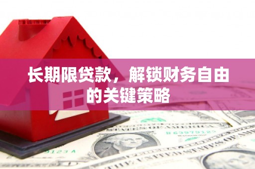 田林长期限贷款，解锁财务自由的关键策略