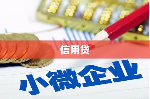 田林信用贷